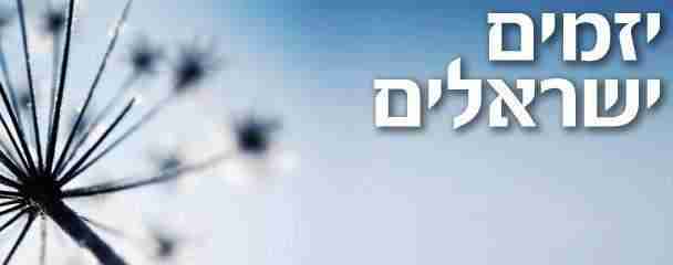 Israeli entrepreneurs - יזמים ישראלים