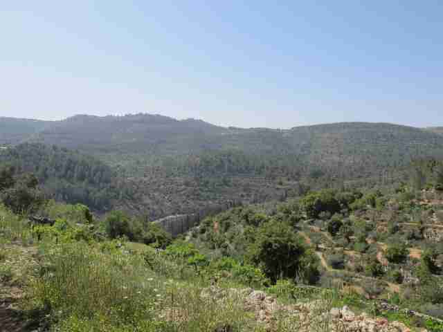 קבוצת פייסבוק טיולים בארץ
