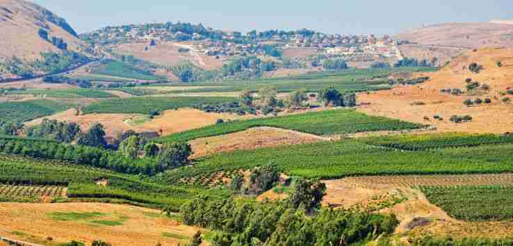 קבוצת פייסבוק סאבלט סבלט בצפון לתקופות קצרות
